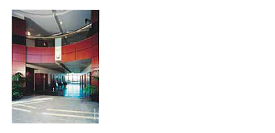 CADENCE DESIGN SYSTEMS FINISH OUT